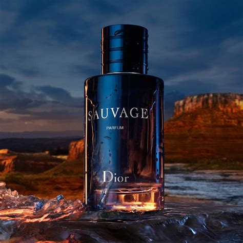 dior sauvage best price 100ml|Dior Sauvage cheapest.